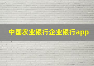 中国农业银行企业银行app