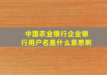 中国农业银行企业银行用户名是什么意思啊