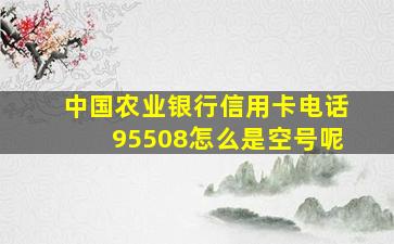 中国农业银行信用卡电话95508怎么是空号呢