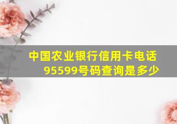 中国农业银行信用卡电话95599号码查询是多少