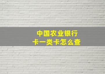 中国农业银行卡一类卡怎么查