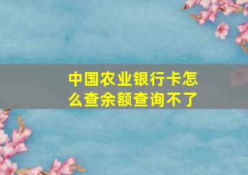 中国农业银行卡怎么查余额查询不了