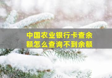 中国农业银行卡查余额怎么查询不到余额