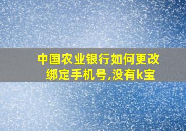 中国农业银行如何更改绑定手机号,没有k宝