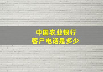 中国农业银行客户电话是多少