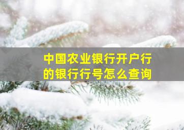 中国农业银行开户行的银行行号怎么查询