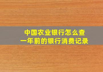 中国农业银行怎么查一年前的银行消费记录