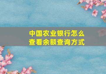 中国农业银行怎么查看余额查询方式