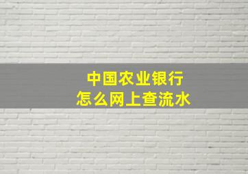 中国农业银行怎么网上查流水