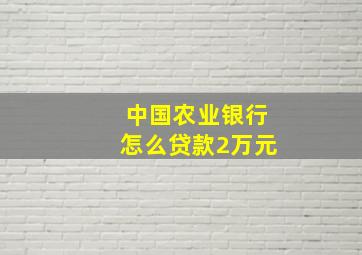 中国农业银行怎么贷款2万元