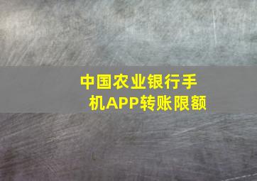 中国农业银行手机APP转账限额