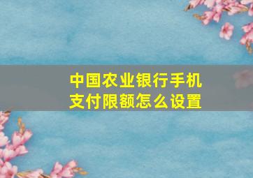 中国农业银行手机支付限额怎么设置