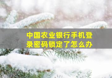 中国农业银行手机登录密码锁定了怎么办