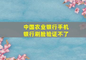 中国农业银行手机银行刷脸验证不了