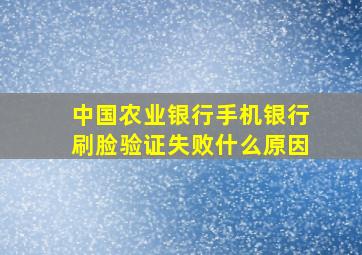 中国农业银行手机银行刷脸验证失败什么原因