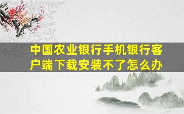 中国农业银行手机银行客户端下载安装不了怎么办