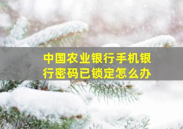 中国农业银行手机银行密码已锁定怎么办