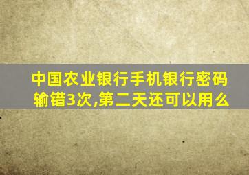 中国农业银行手机银行密码输错3次,第二天还可以用么