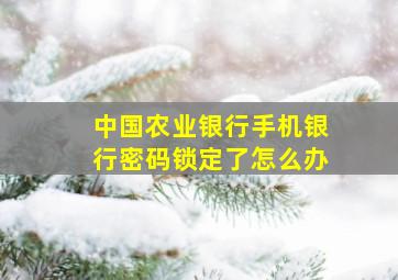 中国农业银行手机银行密码锁定了怎么办