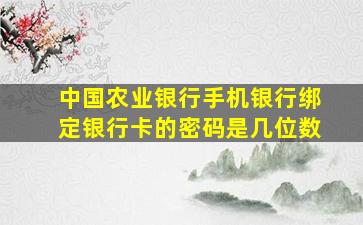 中国农业银行手机银行绑定银行卡的密码是几位数