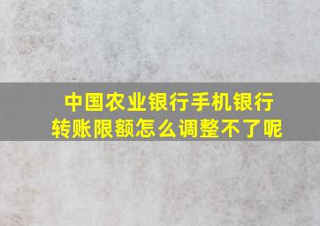 中国农业银行手机银行转账限额怎么调整不了呢