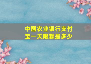 中国农业银行支付宝一天限额是多少