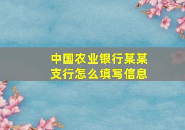 中国农业银行某某支行怎么填写信息