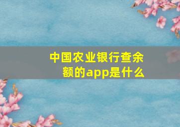 中国农业银行查余额的app是什么