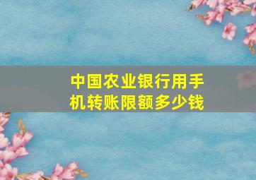 中国农业银行用手机转账限额多少钱