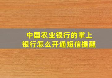 中国农业银行的掌上银行怎么开通短信提醒