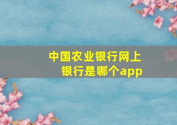 中国农业银行网上银行是哪个app