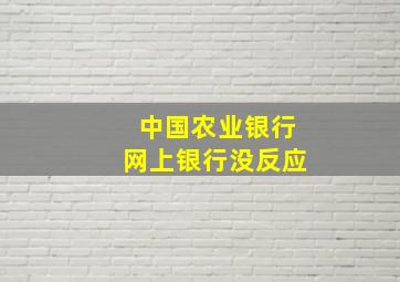 中国农业银行网上银行没反应