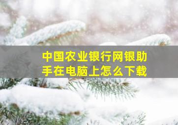 中国农业银行网银助手在电脑上怎么下载