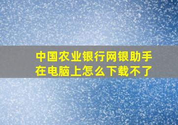 中国农业银行网银助手在电脑上怎么下载不了