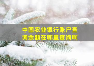 中国农业银行账户查询余额在哪里查询啊