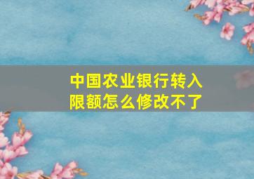 中国农业银行转入限额怎么修改不了