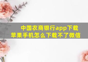 中国农商银行app下载苹果手机怎么下载不了微信