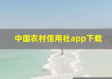 中国农村信用社app下载