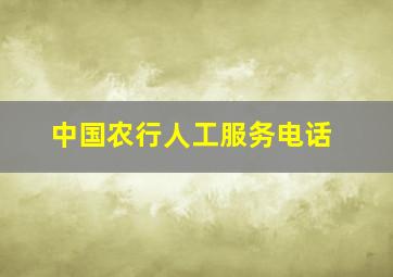 中国农行人工服务电话