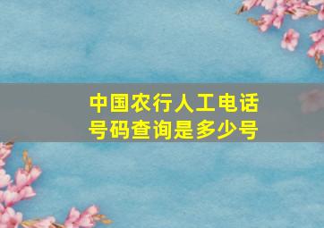 中国农行人工电话号码查询是多少号