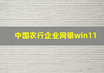 中国农行企业网银win11