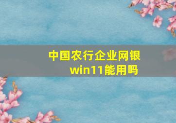 中国农行企业网银win11能用吗