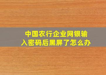 中国农行企业网银输入密码后黑屏了怎么办