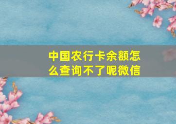 中国农行卡余额怎么查询不了呢微信