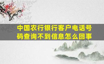 中国农行银行客户电话号码查询不到信息怎么回事