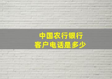 中国农行银行客户电话是多少