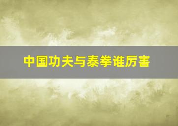 中国功夫与泰拳谁厉害