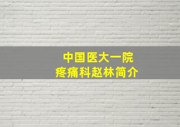 中国医大一院疼痛科赵林简介