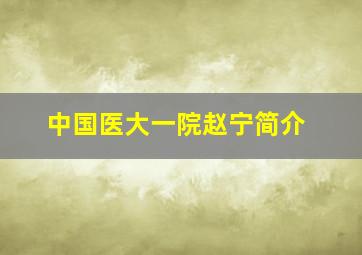 中国医大一院赵宁简介