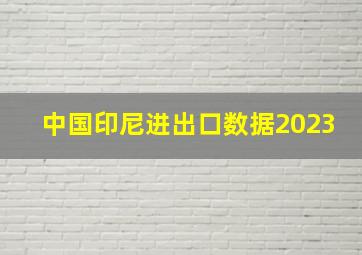 中国印尼进出口数据2023